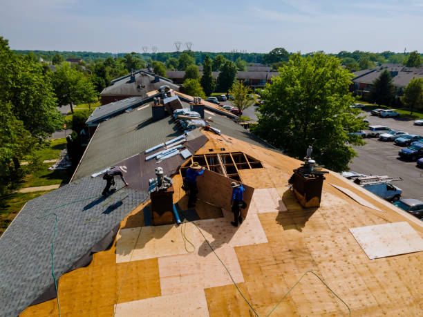 Best Storm Damage Roof Repair  in Blue Jay, OH