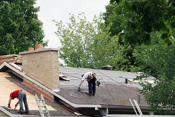 Best Roof Gutter Cleaning  in Blue Jay, OH
