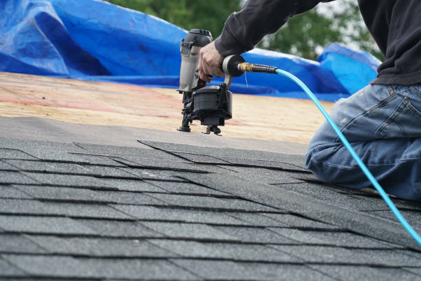 Best Storm Damage Roof Repair  in Blue Jay, OH